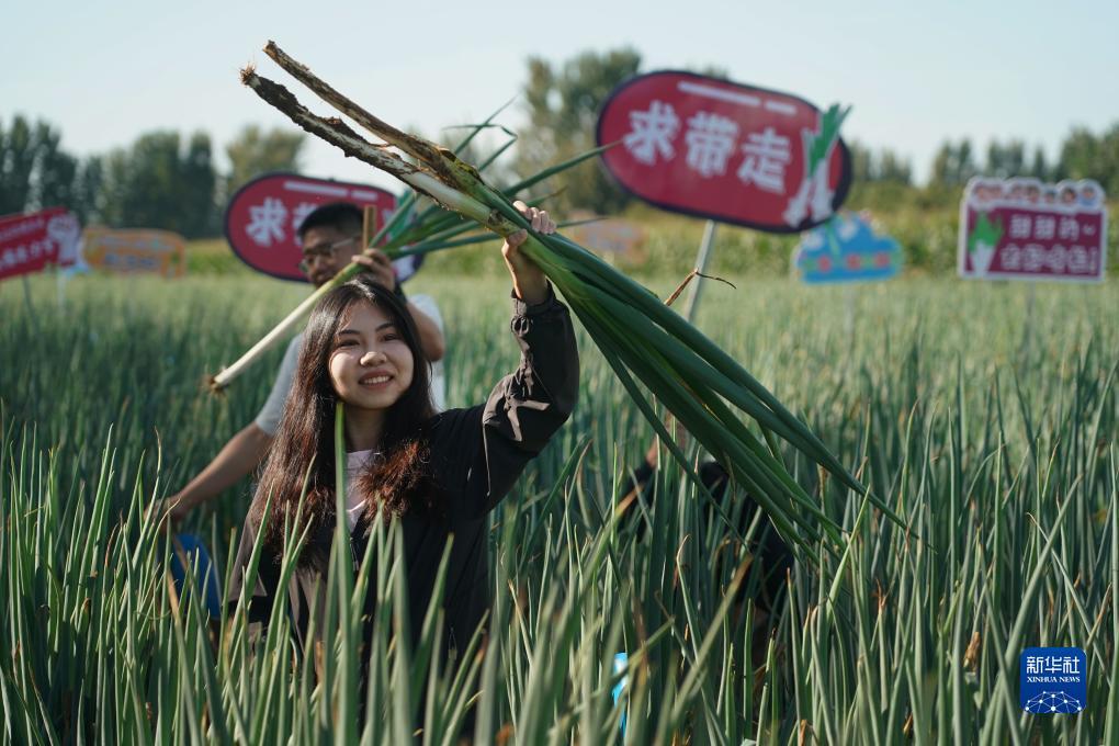 打鱼提现的